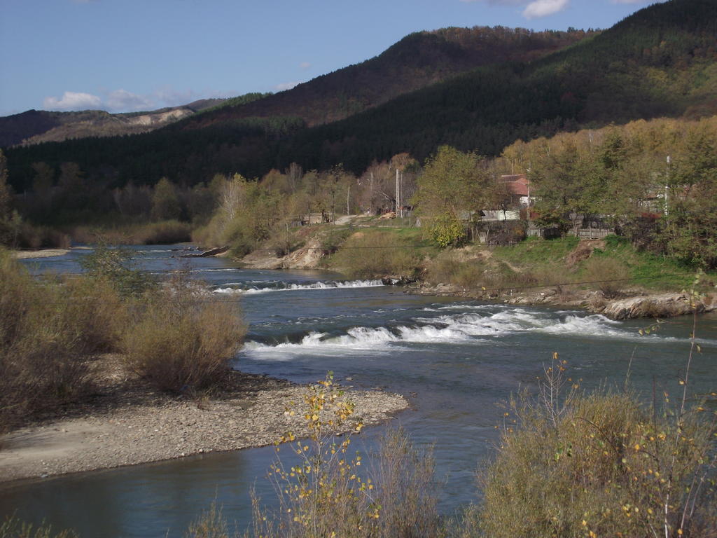 Pensiunea Valea Lupului Valea Lupului  Exterior foto