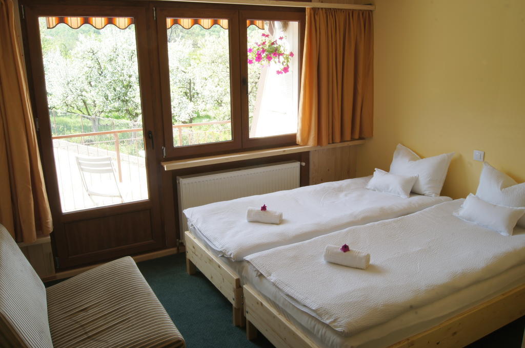 Pensiunea Valea Lupului Valea Lupului  Habitación foto