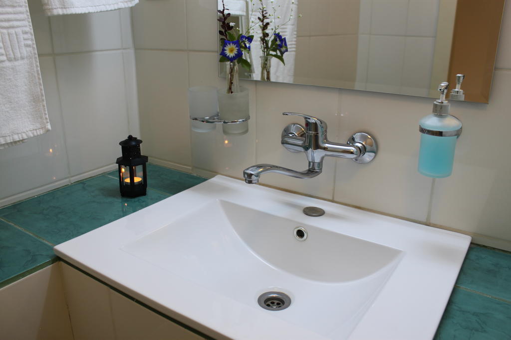 Pensiunea Valea Lupului Valea Lupului  Habitación foto